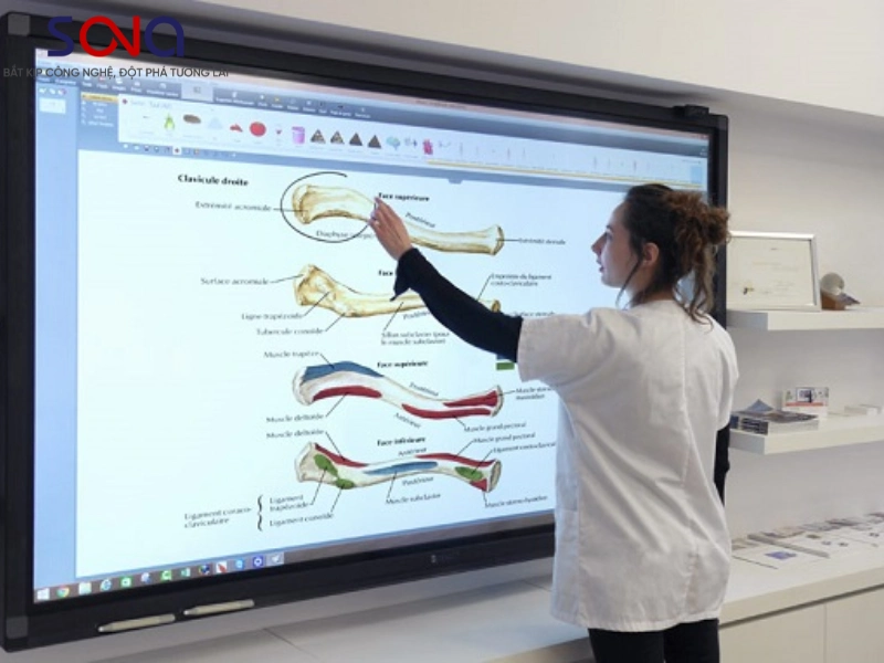 màn hình tương tác y tế phổ biến nhất