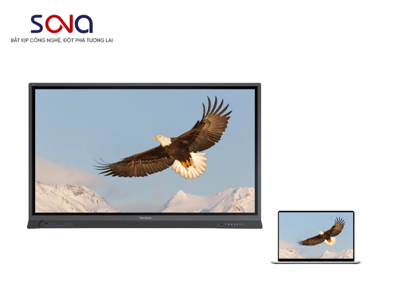 Màn hình tương tác ViewSonic