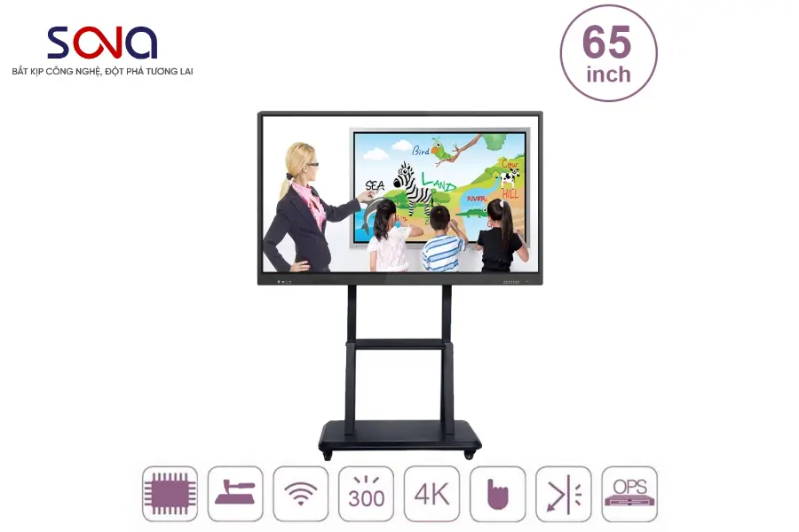 Màn hình tương tác 65 inch