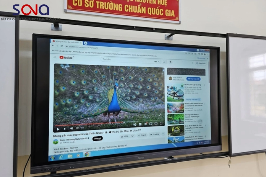 màn hình tương tác 75 inch cho trường tiểu học Phúc Tân màn hình tương tác 75 inch cho trường tiểu học Phúc Tân