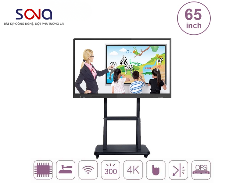 Màn hình tương tác 65 inch