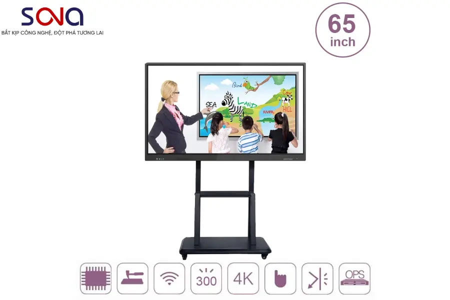 Màn hình tương tác 65 inch
